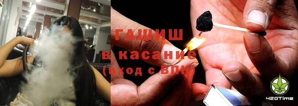 индика Абаза