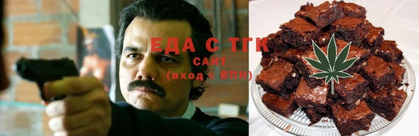 индика Абаза