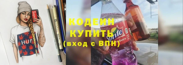 индика Абаза