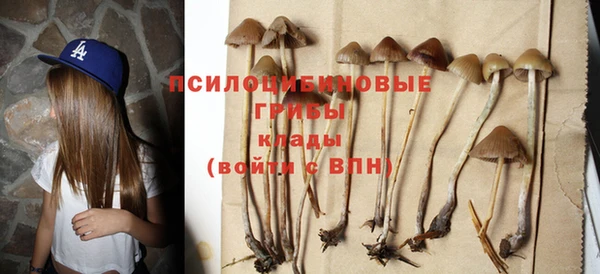 индика Абаза