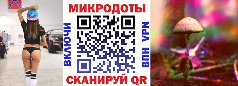 Псилоцибиновые грибы Magic Shrooms  mega рабочий сайт  Алатырь  продажа наркотиков 